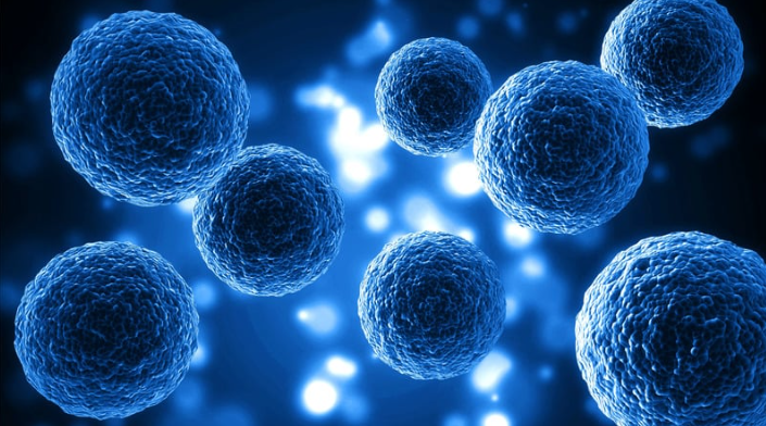 The truth about exosomes, human fat cells and umbilical cords